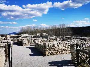 Archaeological complex "Citadel"