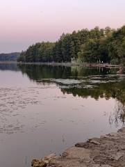 洪山區南湖遊園綠道