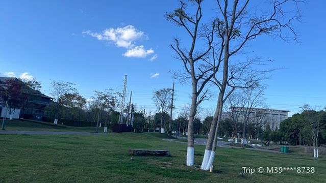 Dianxi Wetland, Jinping Mountain Scenic Area, Mile City