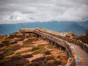 Mana Tea Golden Viewpoint