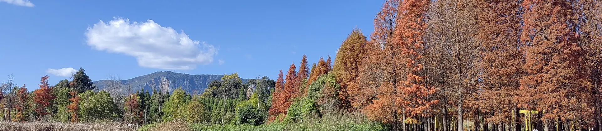 Attrazioni per la visione autunnale