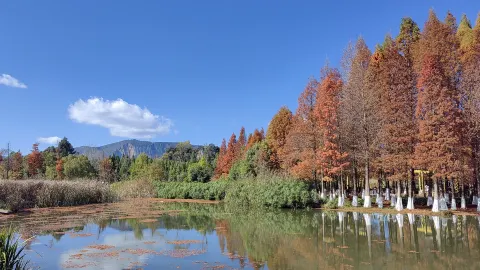Haihong Wetland attraction in Kunming