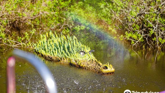 BeWILDerwood Norfolk