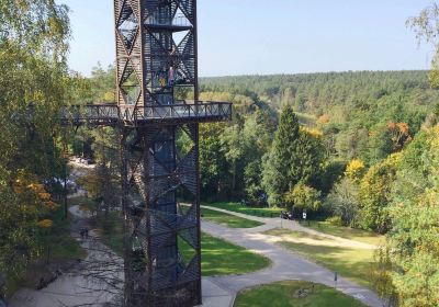 The Treetop Walking Path