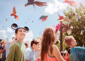 Disney's Animal Kingdom Theme Park