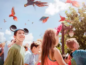 Disney's Animal Kingdom Theme Park
