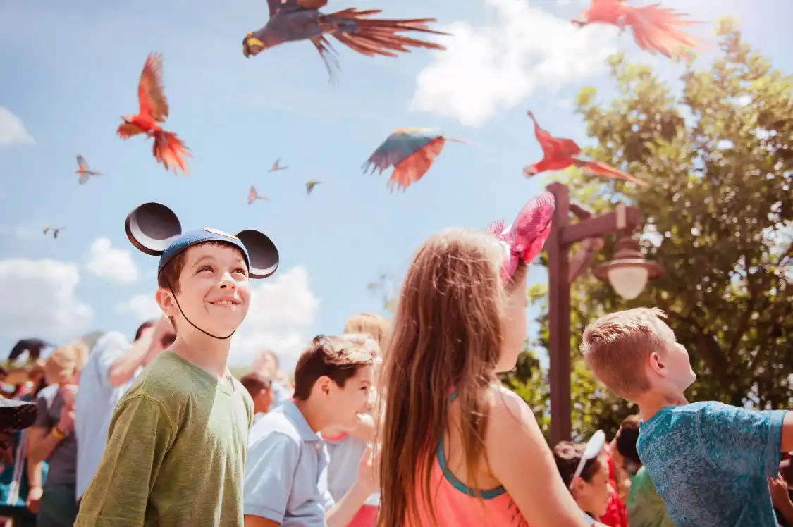 Hotels near Disney's Animal Kingdom Theme Park