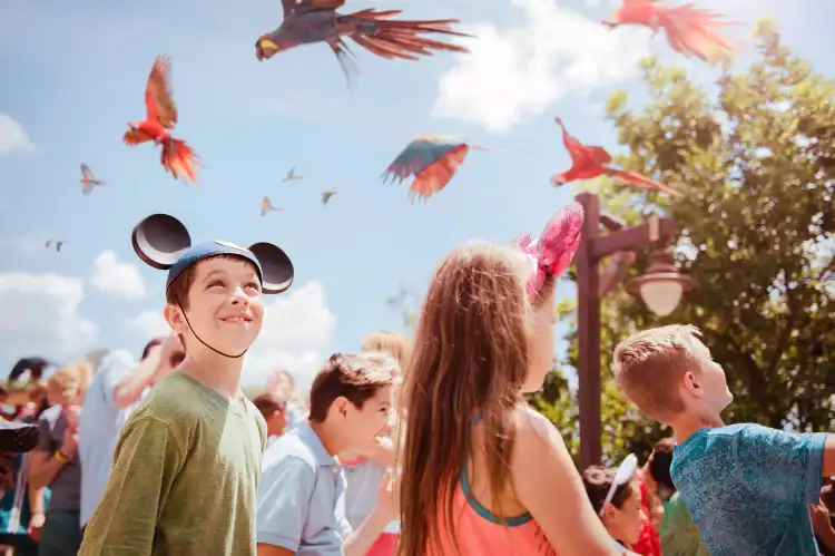 Hotels in der Nähe von Disney's Animal Kingdom