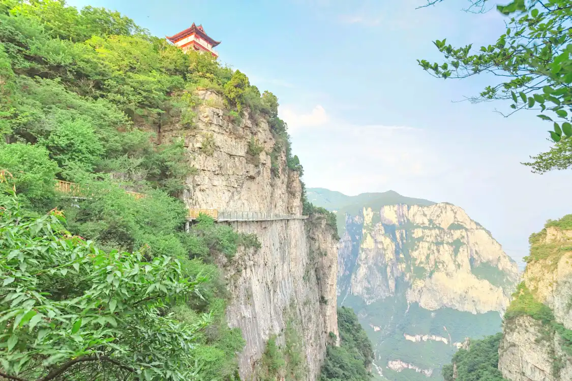 鄰近鳳凰嶺的酒店