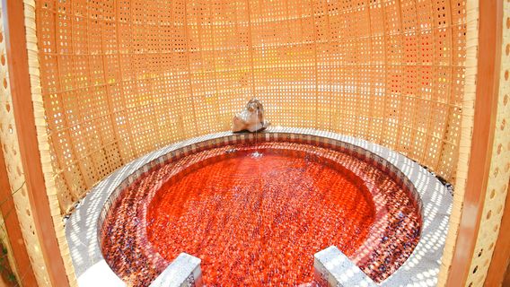 Langshan Sun Valley Ecological Park