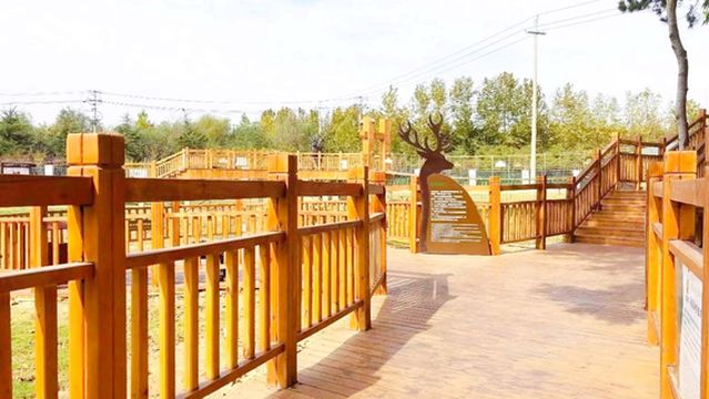 Rizhao Forest Park Elk Garden