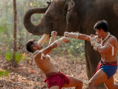 ตั๋วเครื่องบินไทยไลอ้อนแอร์ ภูเก็ต-กรุงเทพฯ