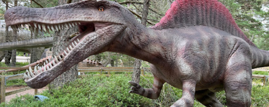 Dinosaur kingdom
