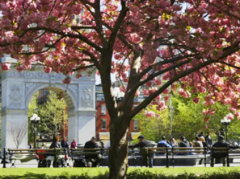 Washington Square Park