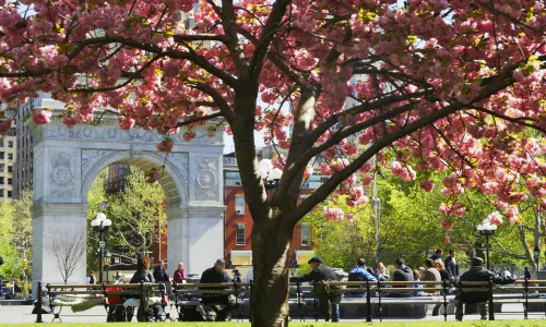 Washington Square Park