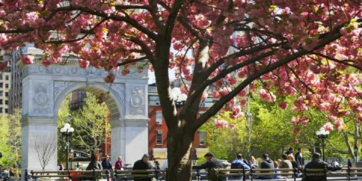 華盛頓廣場公園