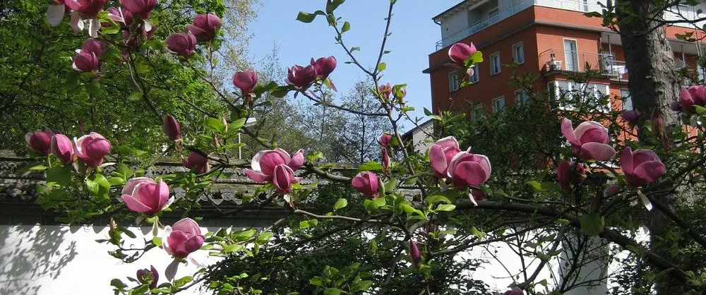 Spring Outings
