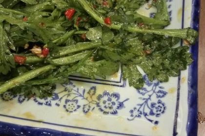 CHUN GENG YE CAI GUAN