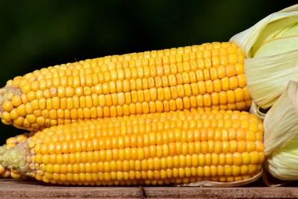 古记老牌卷筒粉(建政路南四里店)