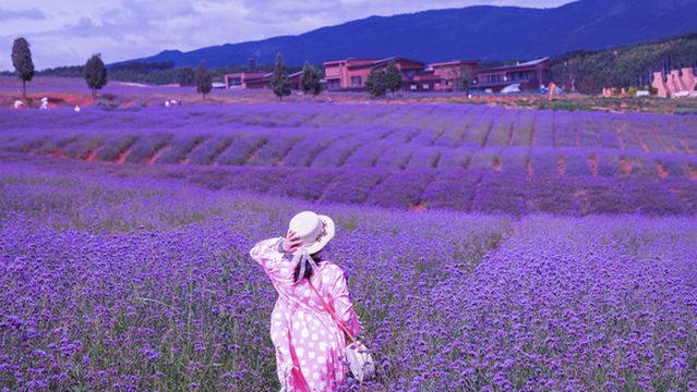 Travel Photoshoot in Mile