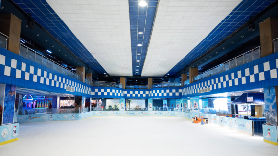 Ice Land