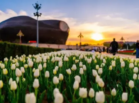 コンバッシュ·ツーリズム