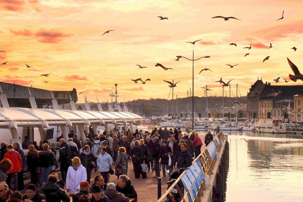 Normandy's Scallop Festivals | Camembert