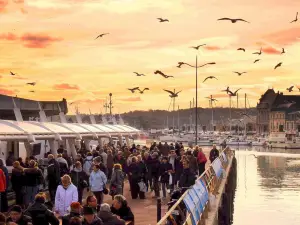 Normandy's Scallop Festivals