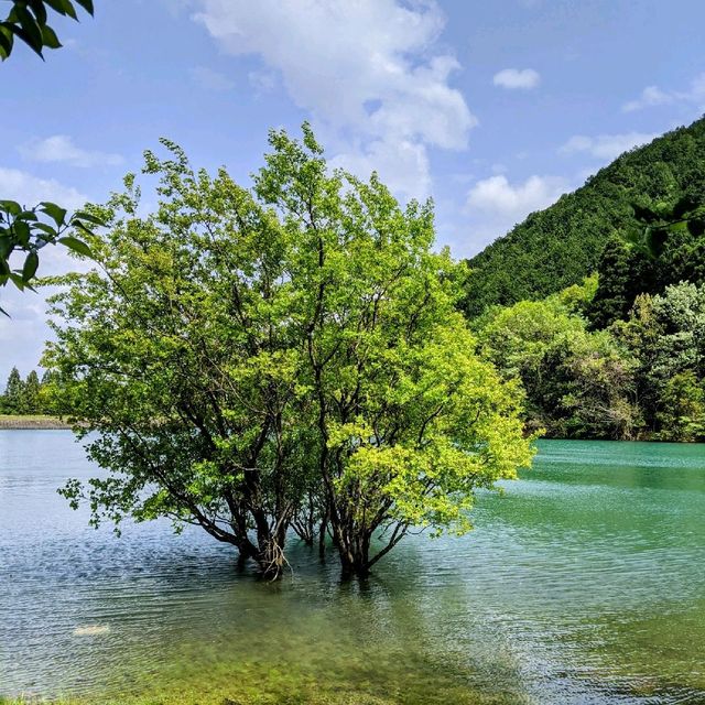 京都湯の花温泉郷ちかくの古寺