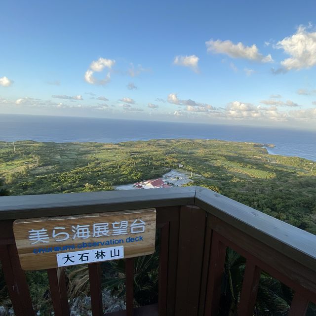 【沖縄】国立公園 大石林山