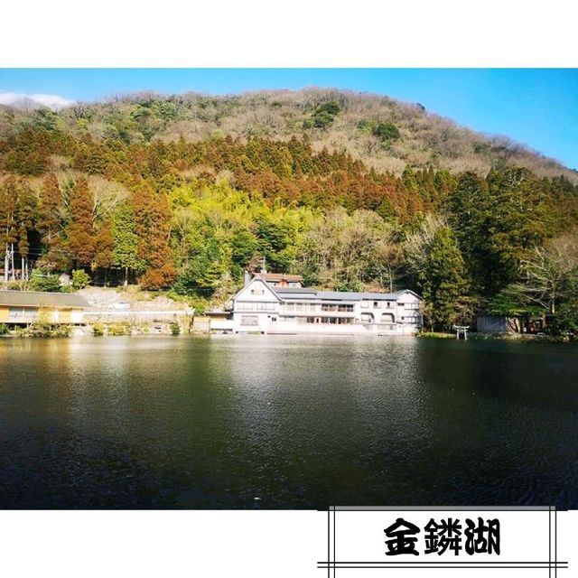 由布院必到景點，日本九州金鏻胡