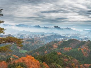 從福岡直飛宮崎航班