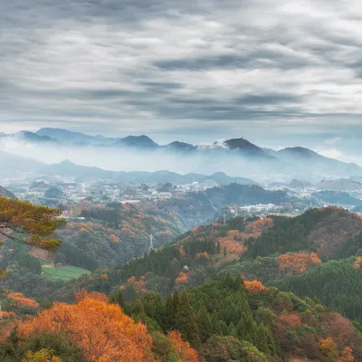 宮崎 飛 福岡