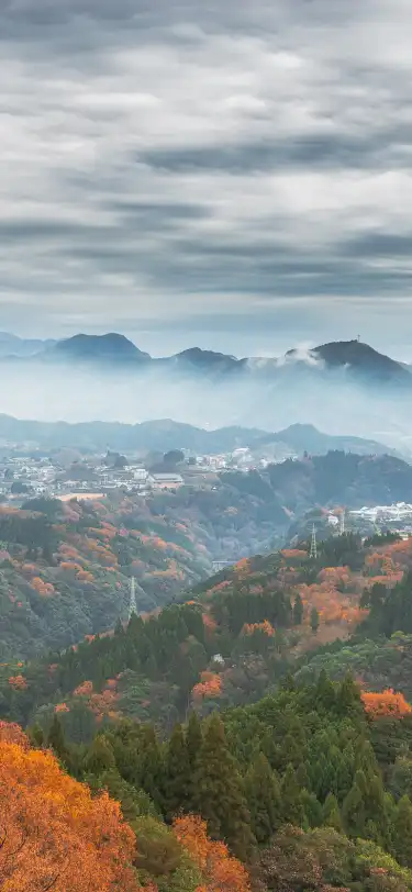 在日本宮崎縣，設有酒吧的飯店