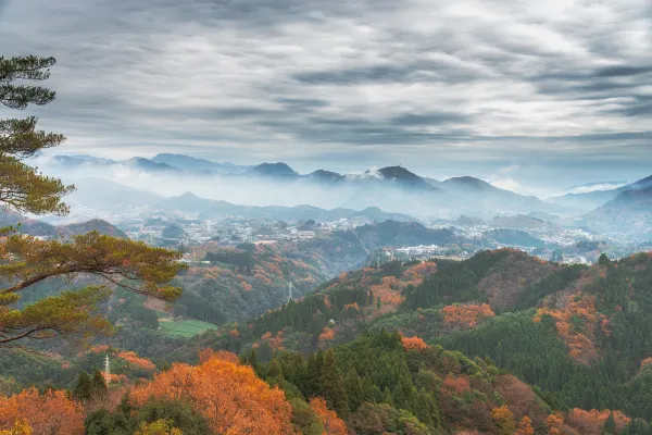 Tiket flight Miyazaki ke Yakushima