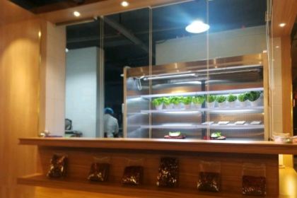 Huopenjingmala Fish (chengdonglu)