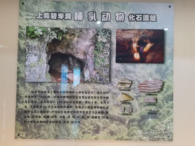 Heyuan City Museum (Heyuan Dinosaur Museum)