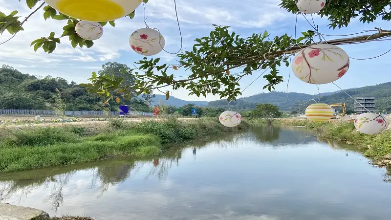 冷杉秋長花海影視基地