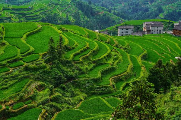 Duoyishu Terraced Field