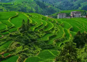 Duoyishu Terraced Field