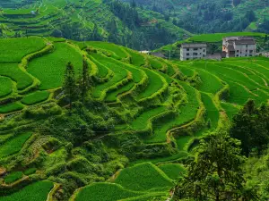 Duoyishu Terraced Field