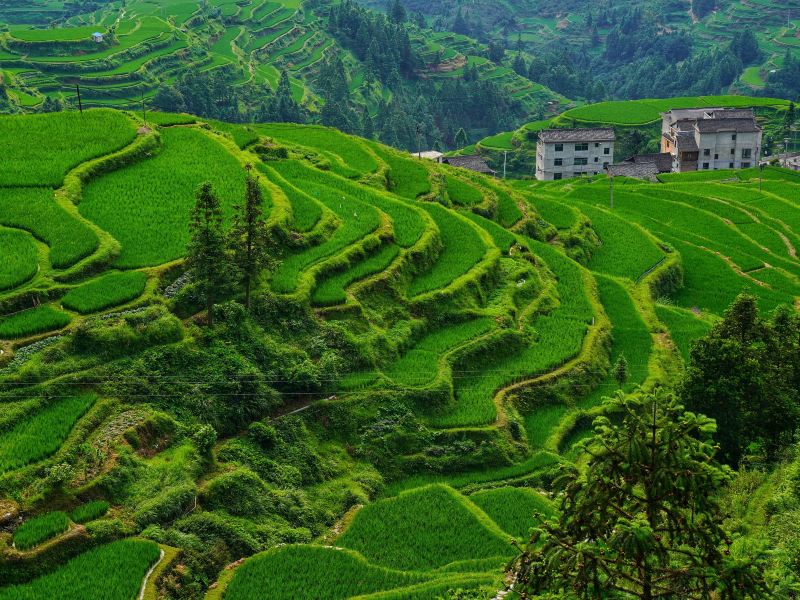 Duoyishu Terraced Field