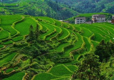 Tang'an Terrace