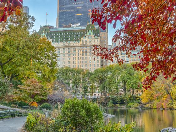 Central Park Zoo