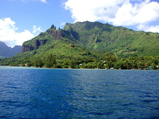 莫雷阿島