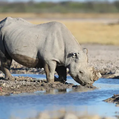 Flights from Nairobi to Samburu