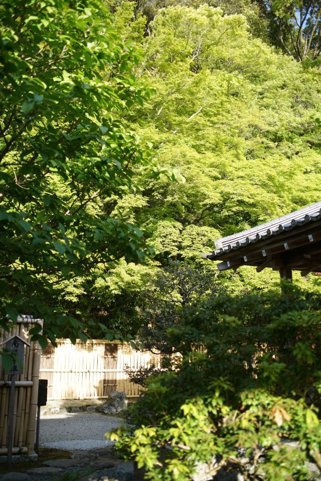 南禪寺