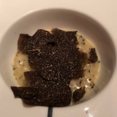 Providence User Photo