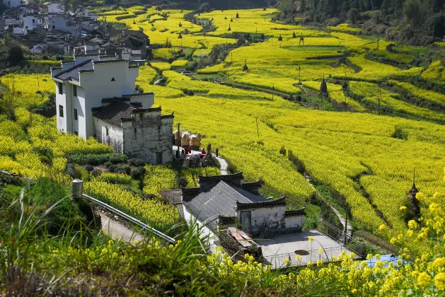 Hotel Bintang 5 di Wuyuan