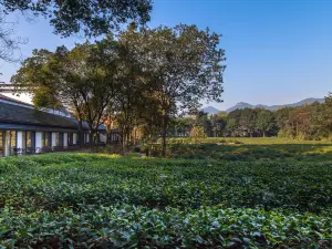 Hangzhou Visodhita Hotel(Linyin)·Tea Garden Restaurant